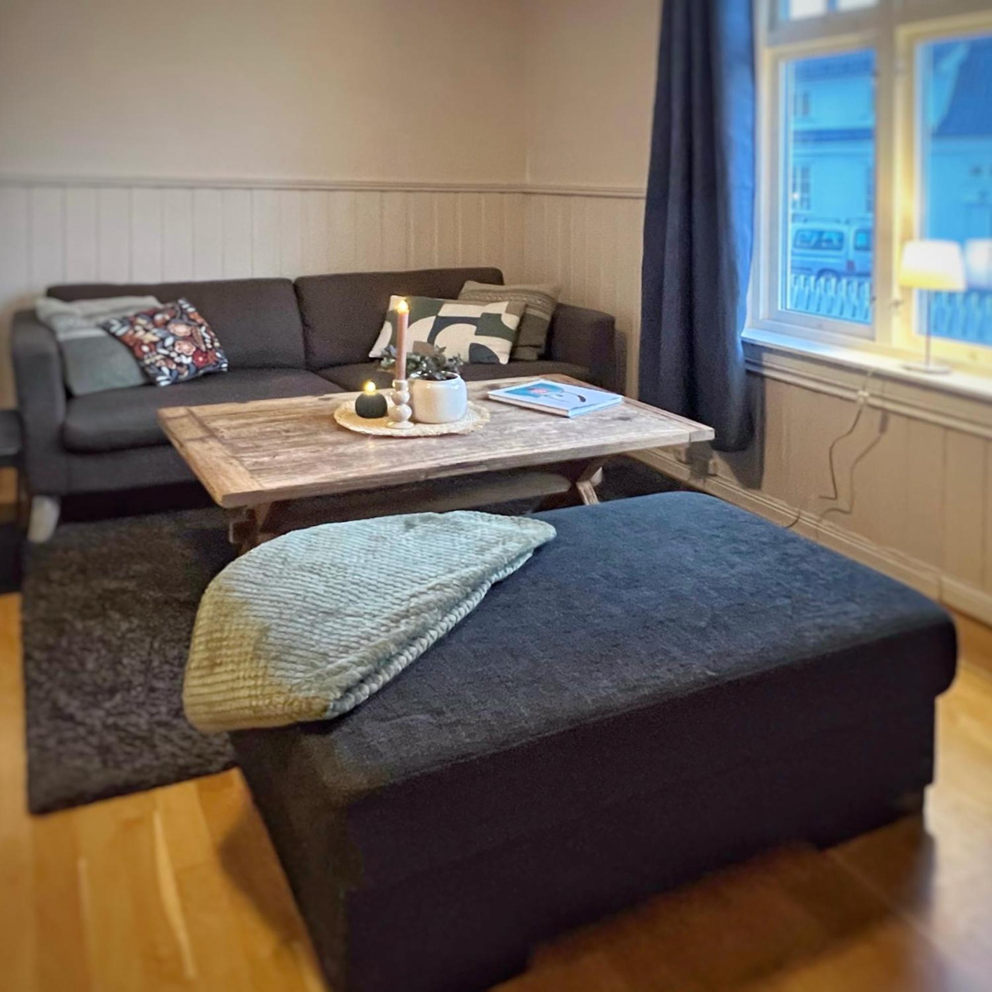 Os Apartments Halden - Sentrumsnaert Og Fredelig Ngoại thất bức ảnh